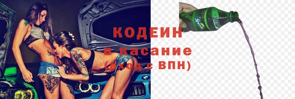 мет Карпинск