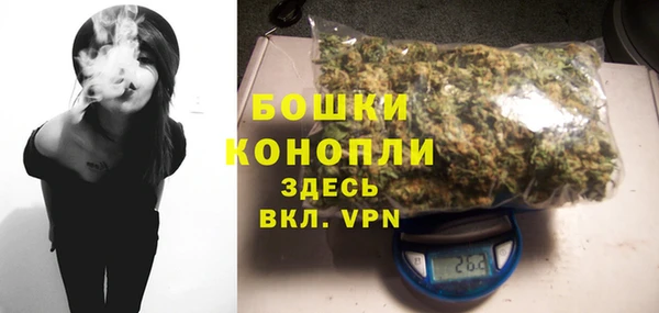 мет Карпинск