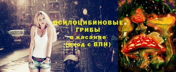 мет Карпинск